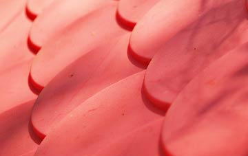 Fadmoor plastic roof costs