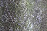 Fadmoor fibreglass roof work