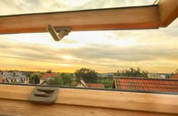 rated Fadmoor roof window companies